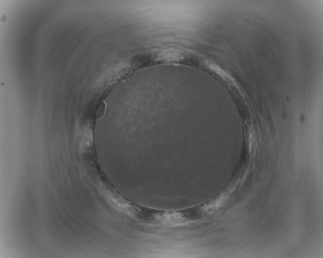 X0000062150517200512091318