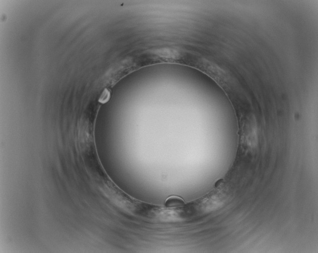 X0000062150518200512091318