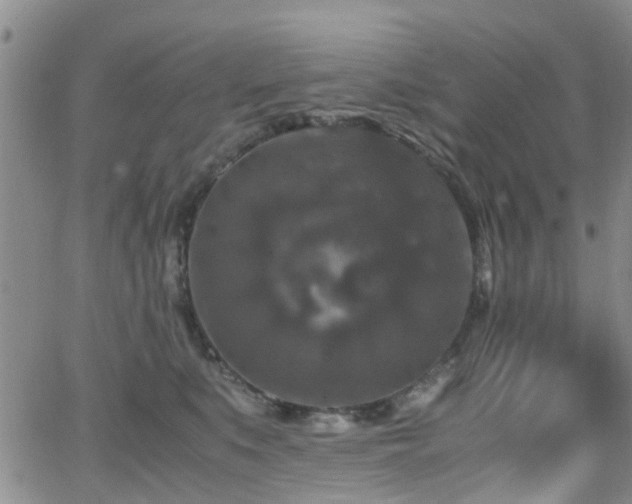 X0000062150519200512091318