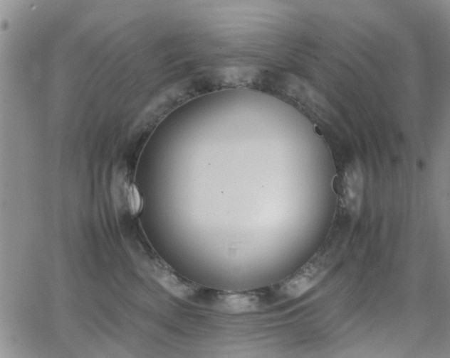 X0000062150522200512091318