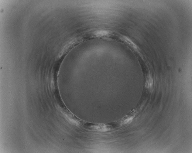 X0000062150524200512091318