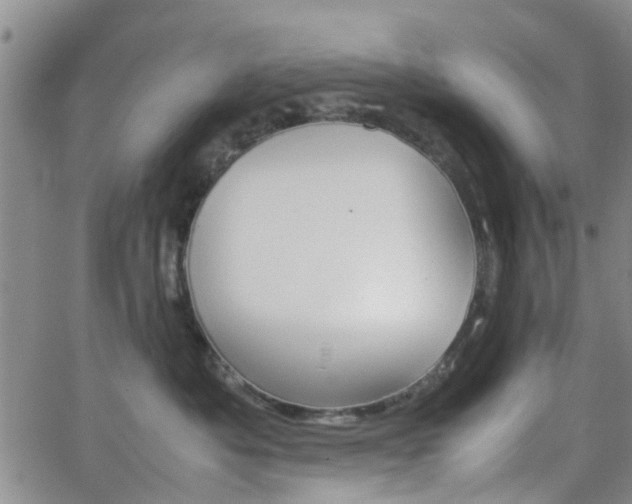 X0000062150525200512091318