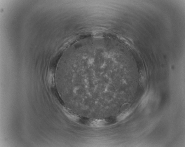 X0000062150527200512091318