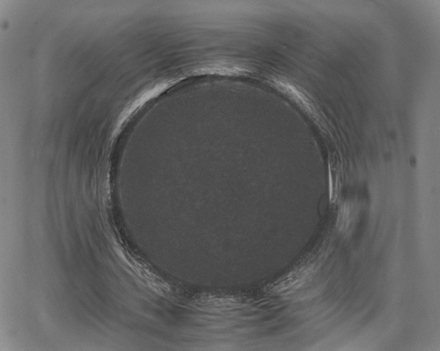 X0000062150531200512091317