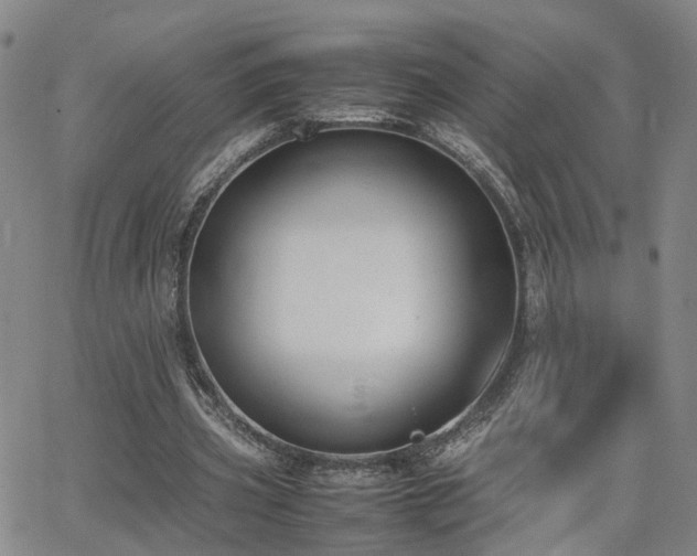 X0000062150533200512091317
