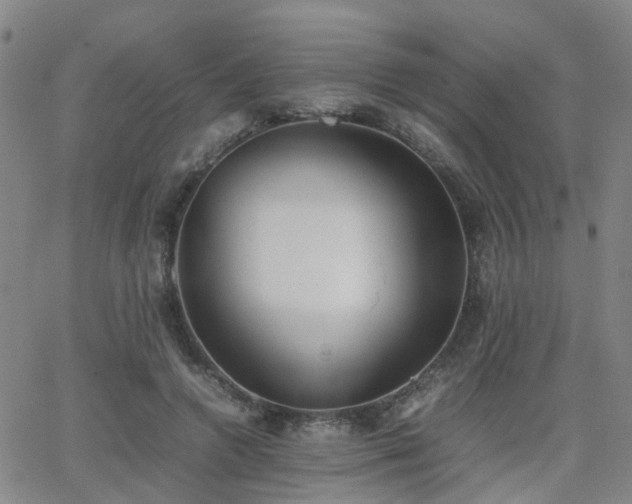 X0000062150546200512091317