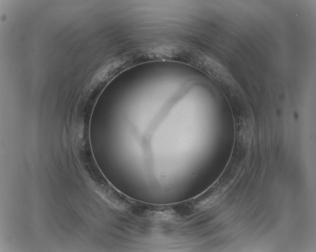 X0000062150548200512091317