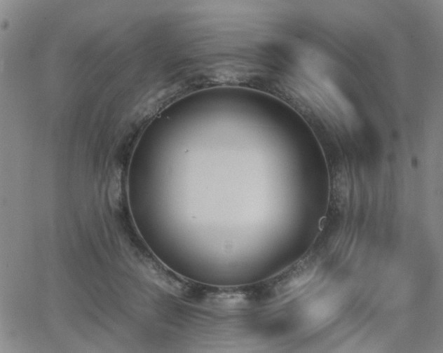 X0000062150554200512091317