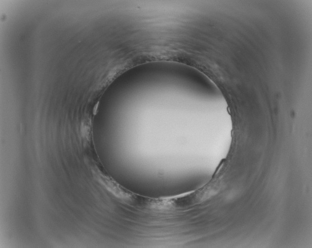 X0000062150576200512091317