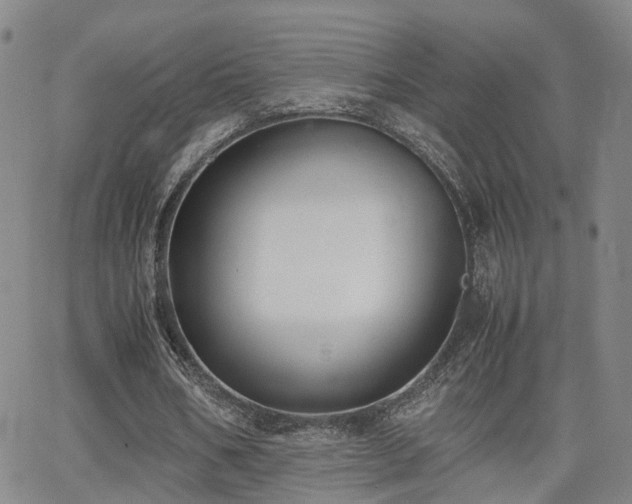 X0000062150578200512091317