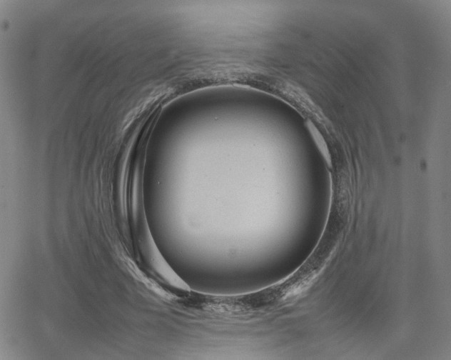 X0000062150585200512091317