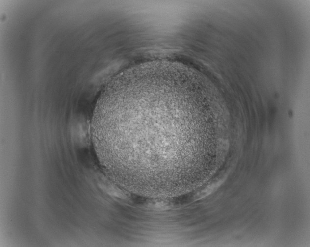 X0000062150624200512091316