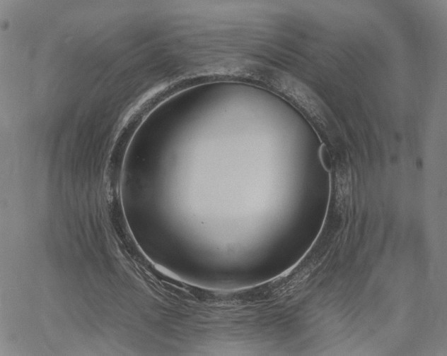 X0000062150628200512091315