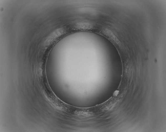 X0000062150635200512091315