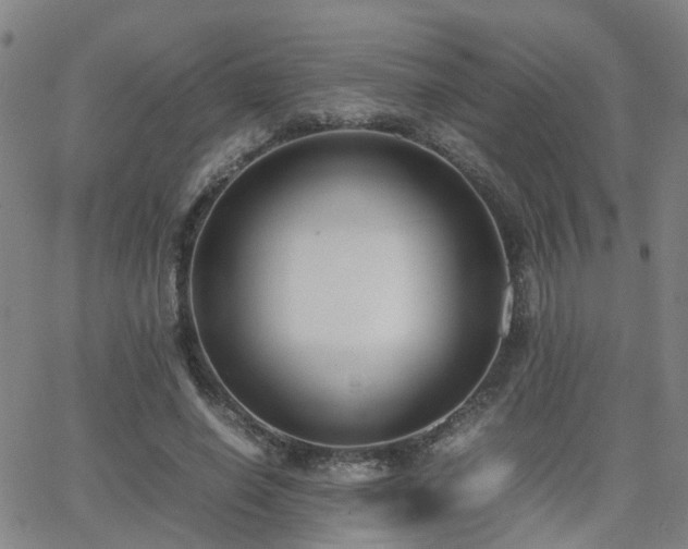 X0000062150638200512091315