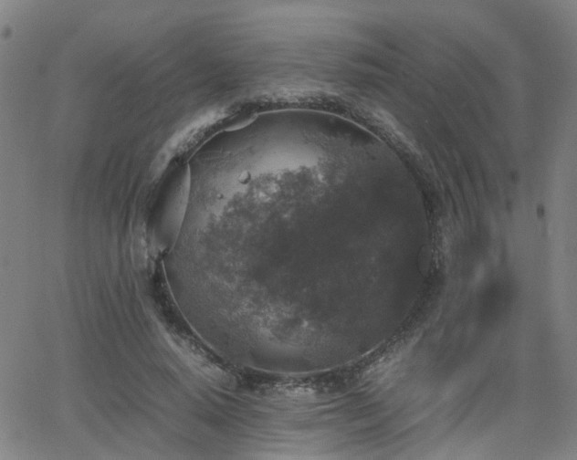 X0000062150640200512091315