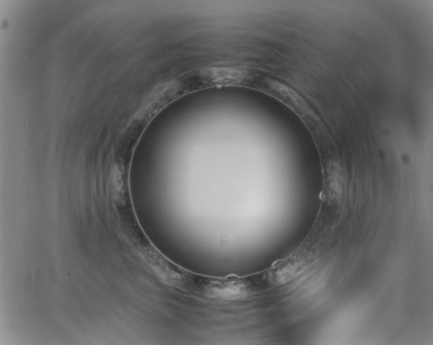 X0000062150667200512091316