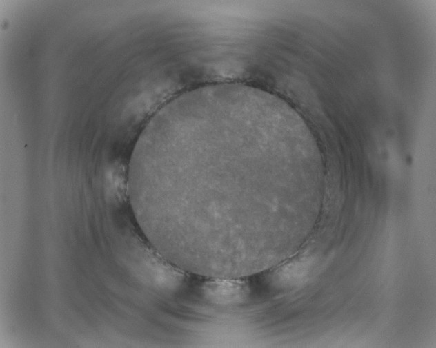 X0000062150672200512091316