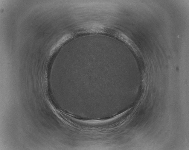 X0000062150677200512091315