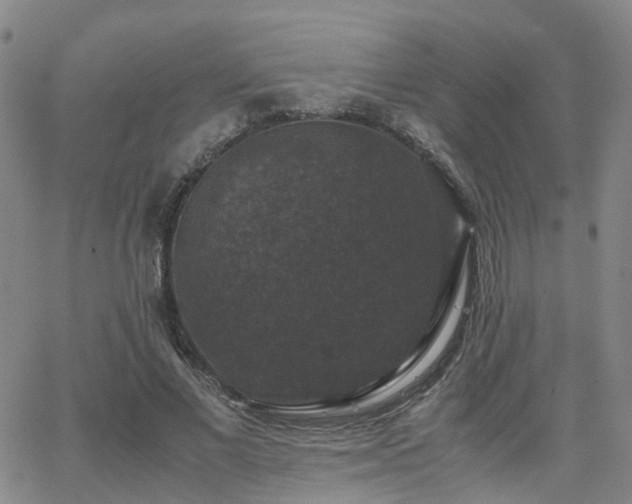 X0000062150685200512091315