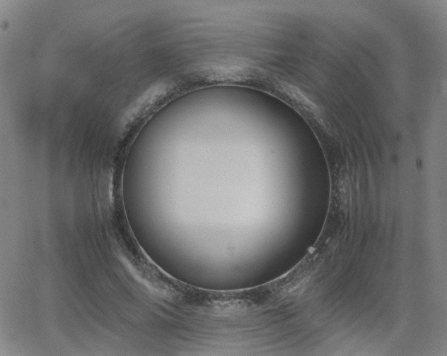 X0000062150686200512091315