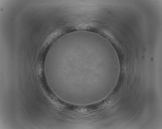X0000062150687200512091315