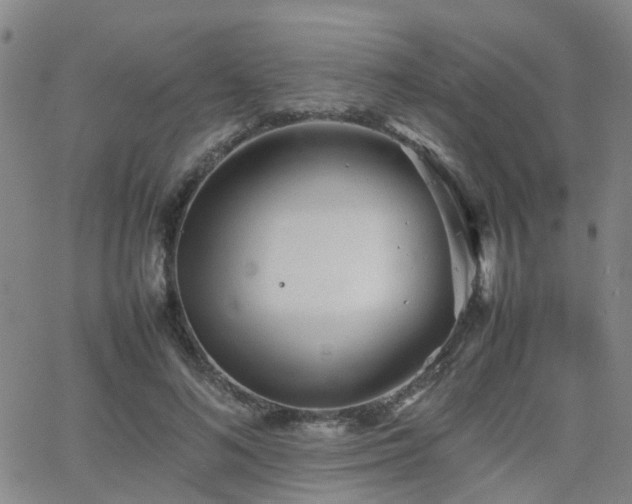 X0000062150692200512091315