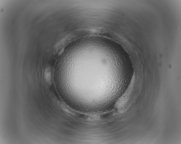 X0000062150720200512091314