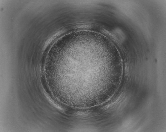 X0000062150725200512091314