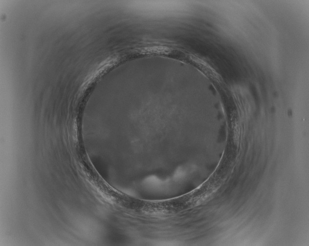 X0000062150729200512091314