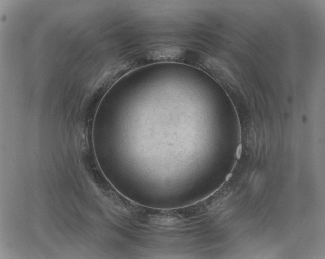 X0000062150743200512091314