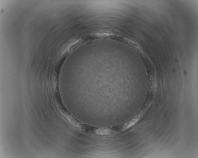 X0000062150762200512091314