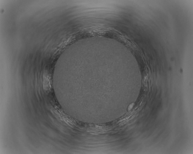 X0000062150772200512091313