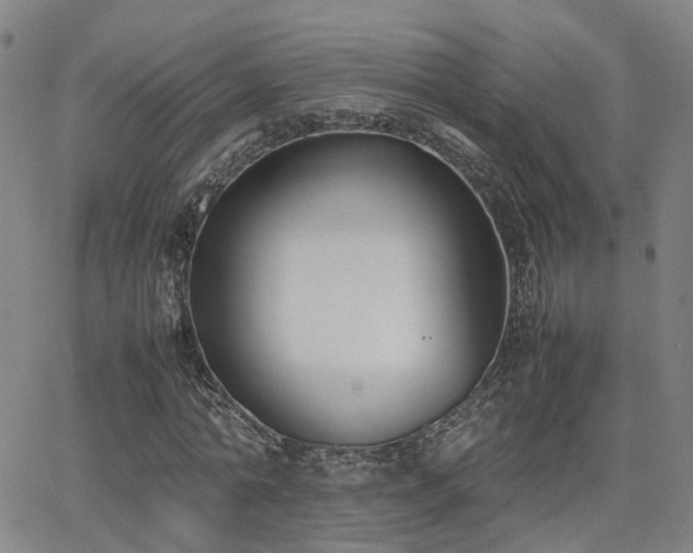 X0000062150774200512091313