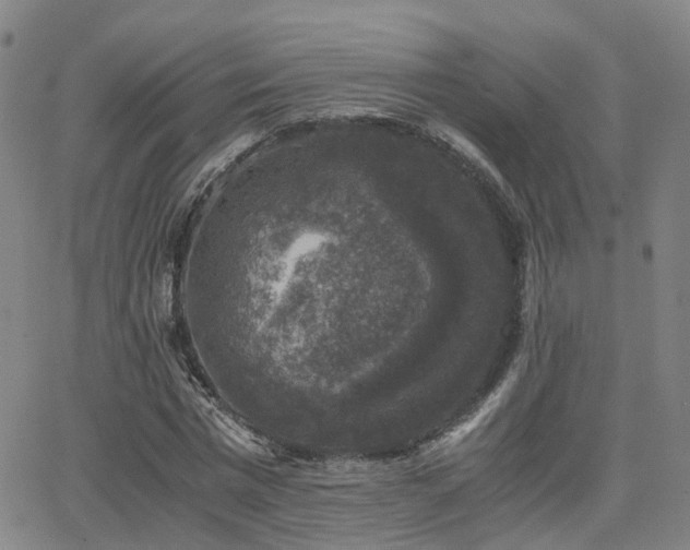 X0000062150777200512091313