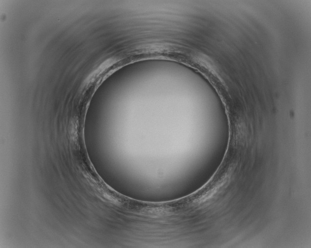 X0000062150778200512091313