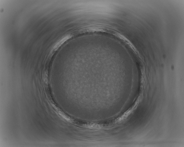 X0000062150785200512091313