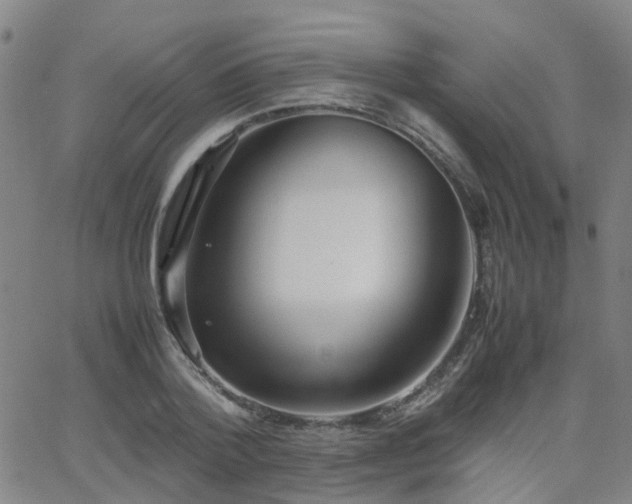 X0000062150788200512091313