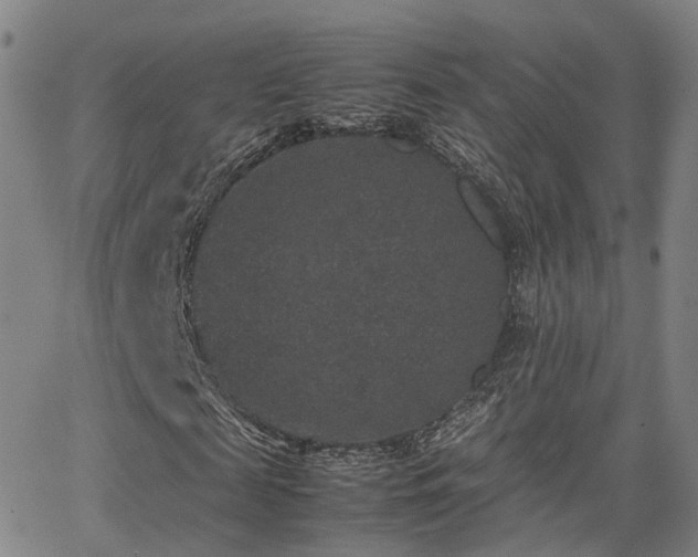 X0000062150817200512091312