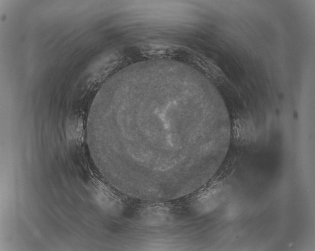 X0000062150820200512091312