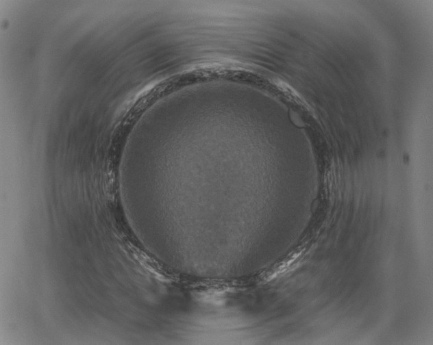 X0000062150822200512091312