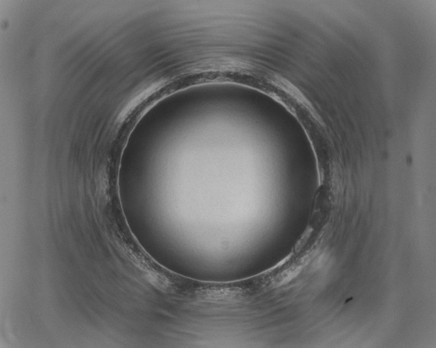 X0000062150826200512091312