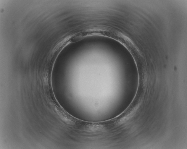 X0000062150833200512091312