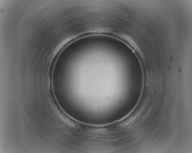 X0000062150837200512091312