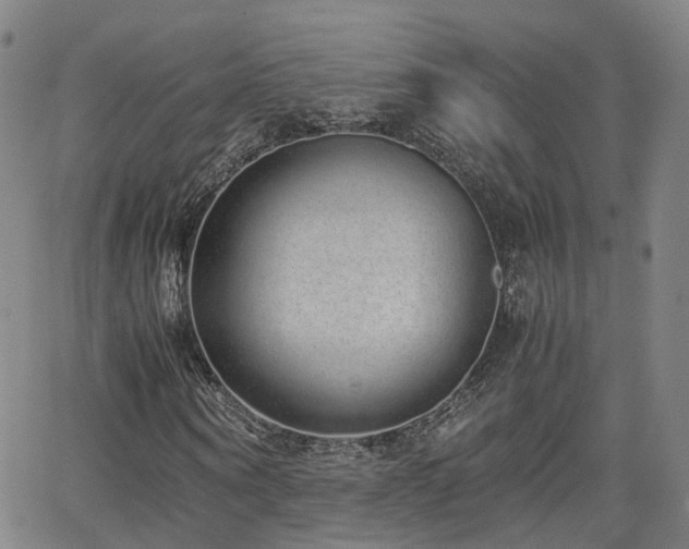 X0000062150866200512091312