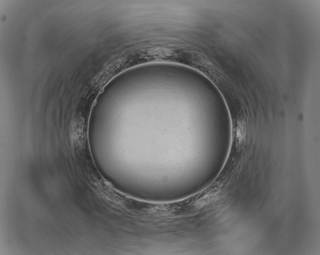 X0000062150867200512091312