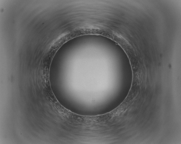 X0000062150870200512091312