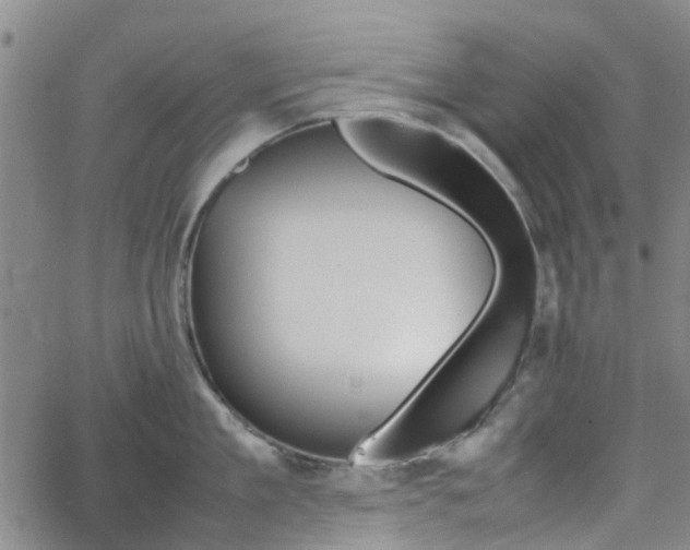 X0000062150909200512091311
