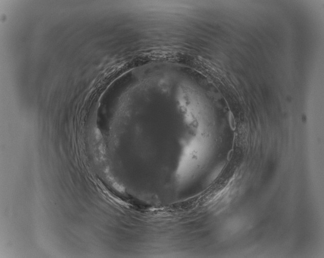 X0000062150913200512091310