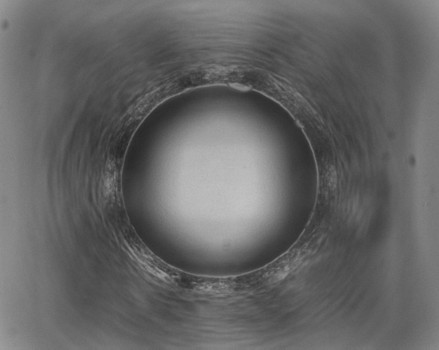 X0000062150914200512091310